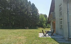 Pine Corner Mojkovac